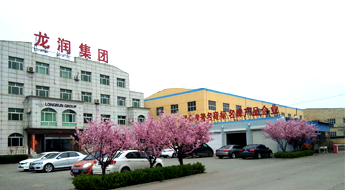 河北91视频最新网址